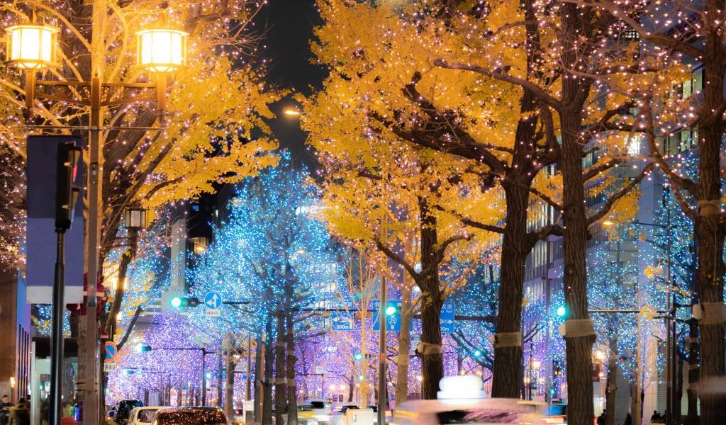 🏞️ 사이다이지 녹화 공원(사이다이지료쿠카코엔) 이미지 9